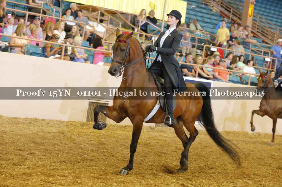 Proof 15YN_01101