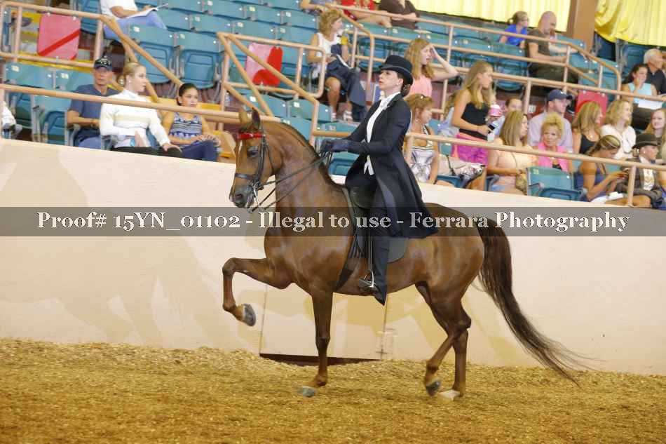 Proof 15YN_01102