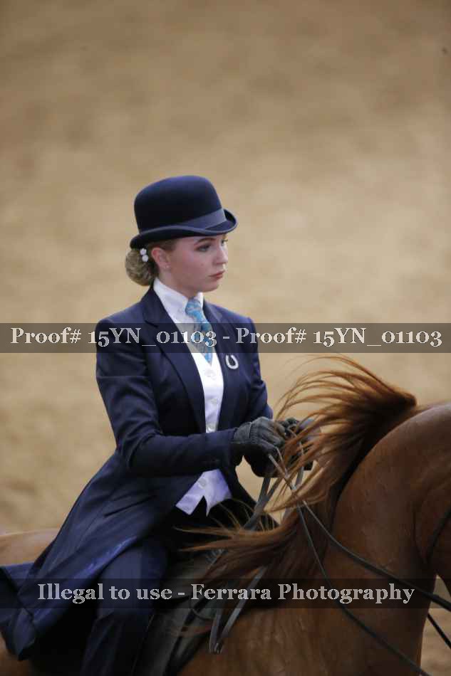 Proof 15YN_01103