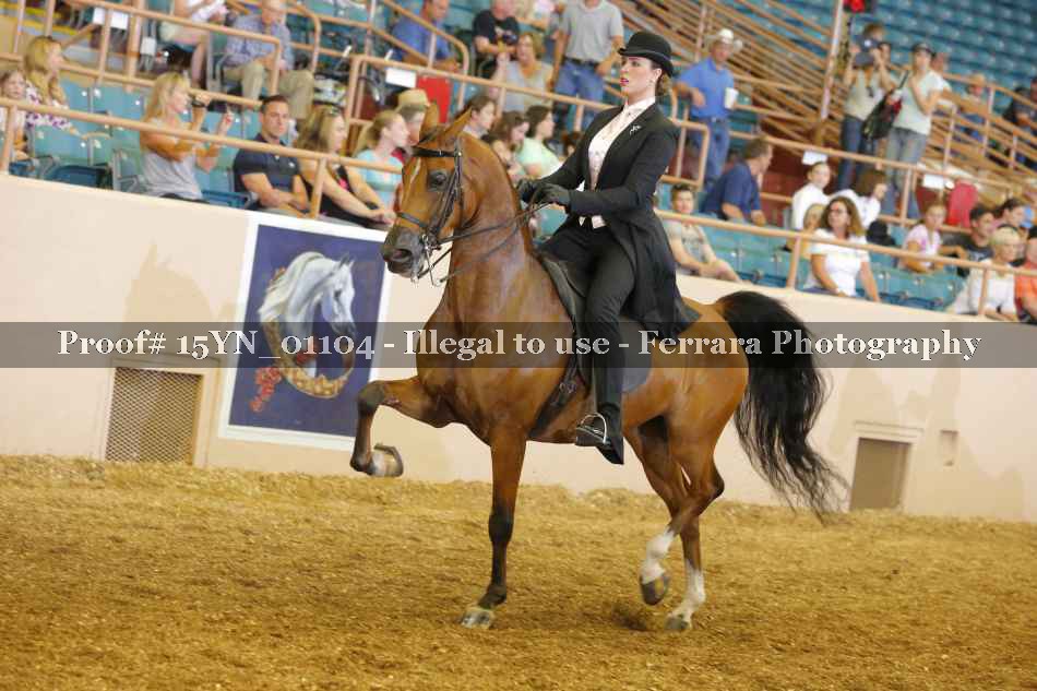 Proof 15YN_01104