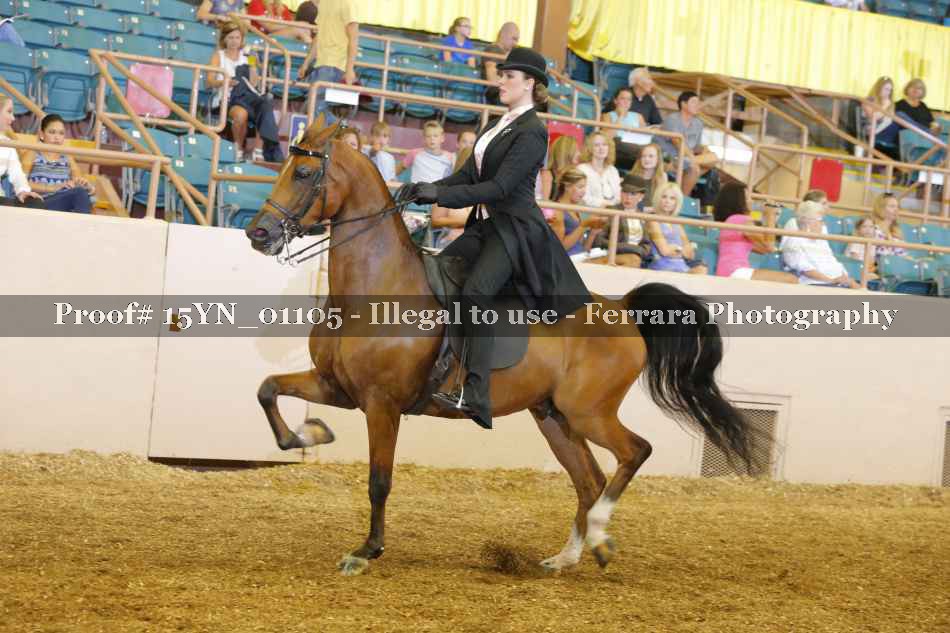 Proof 15YN_01105