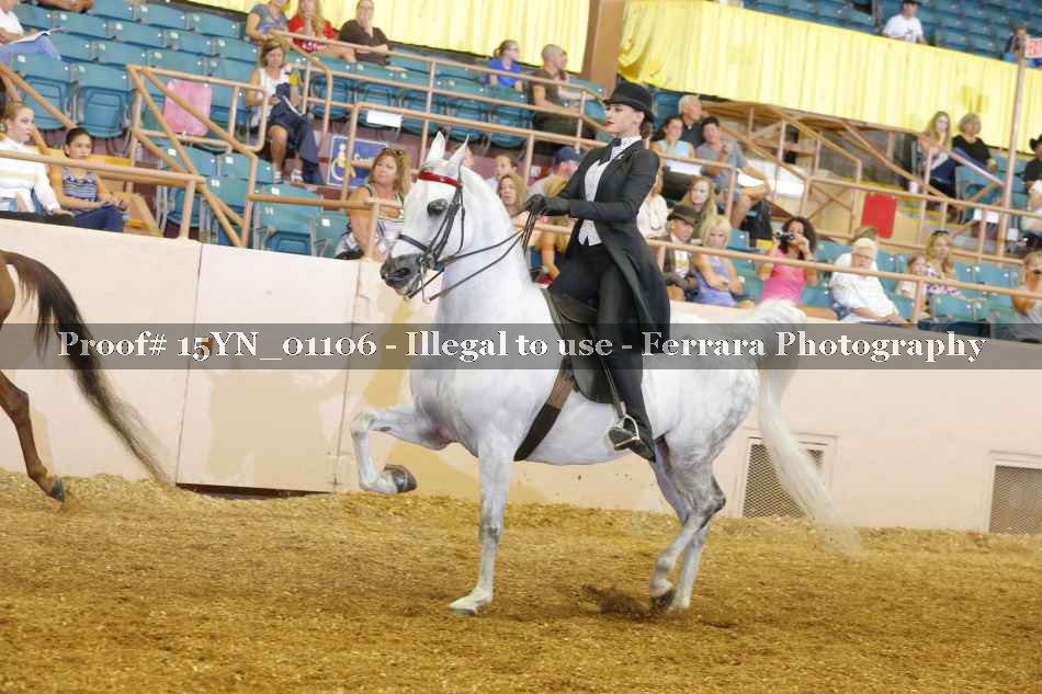 Proof 15YN_01106