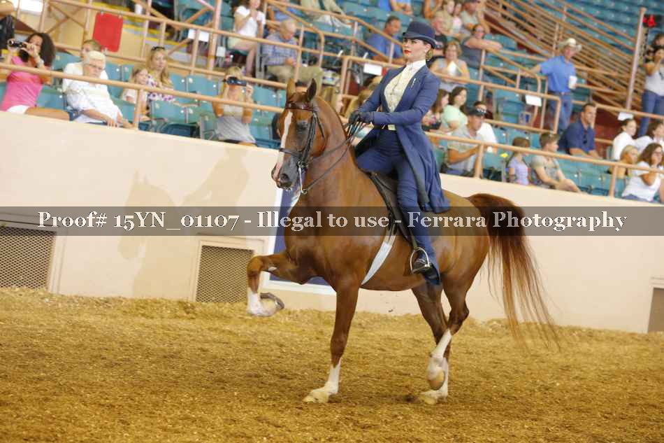 Proof 15YN_01107