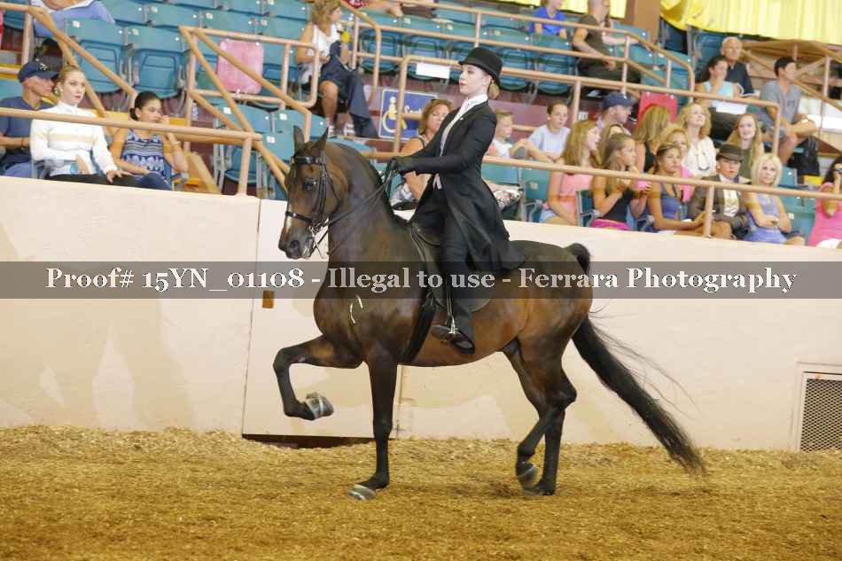 Proof 15YN_01108