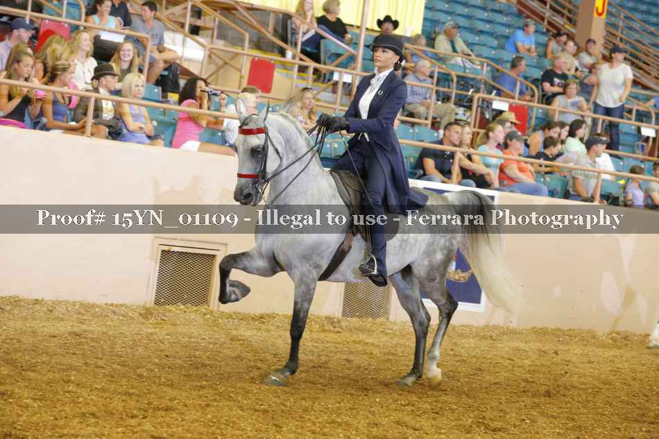 Proof 15YN_01109