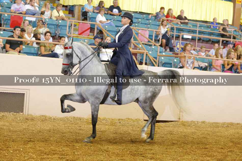 Proof 15YN_01110