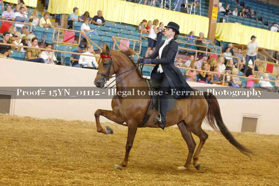 Proof 15YN_01112
