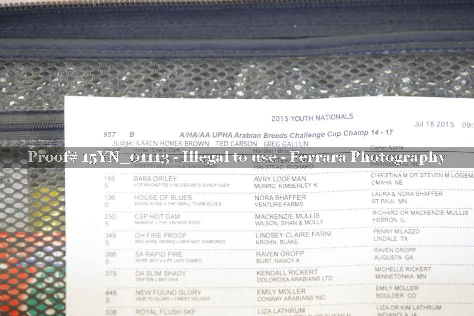 Proof 15YN_01113