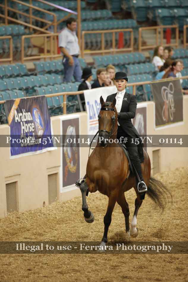 Proof 15YN_01114