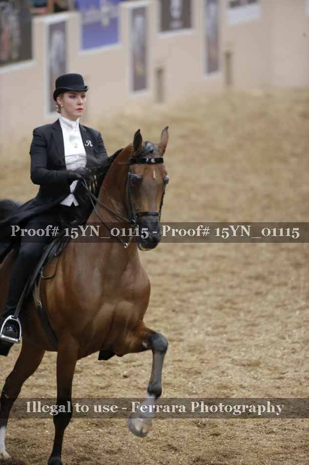 Proof 15YN_01115