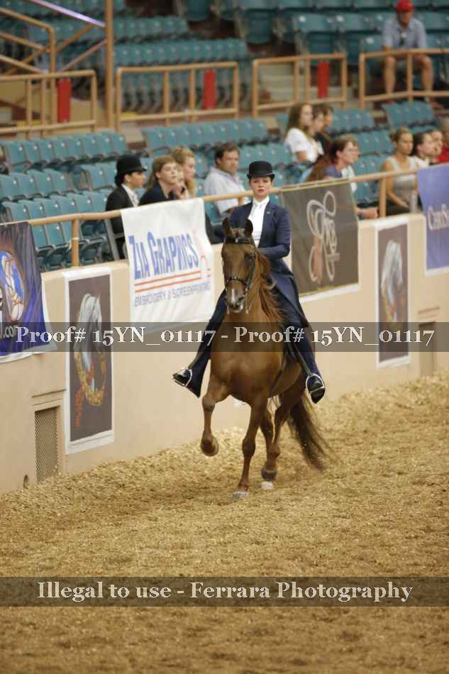 Proof 15YN_01117