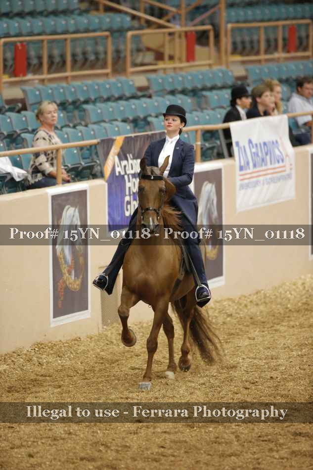 Proof 15YN_01118