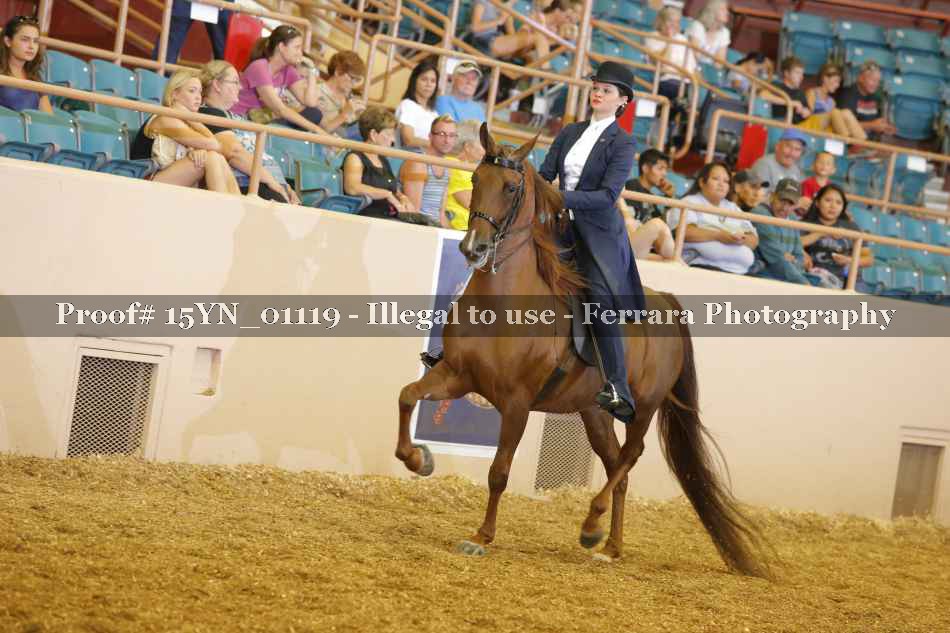 Proof 15YN_01119