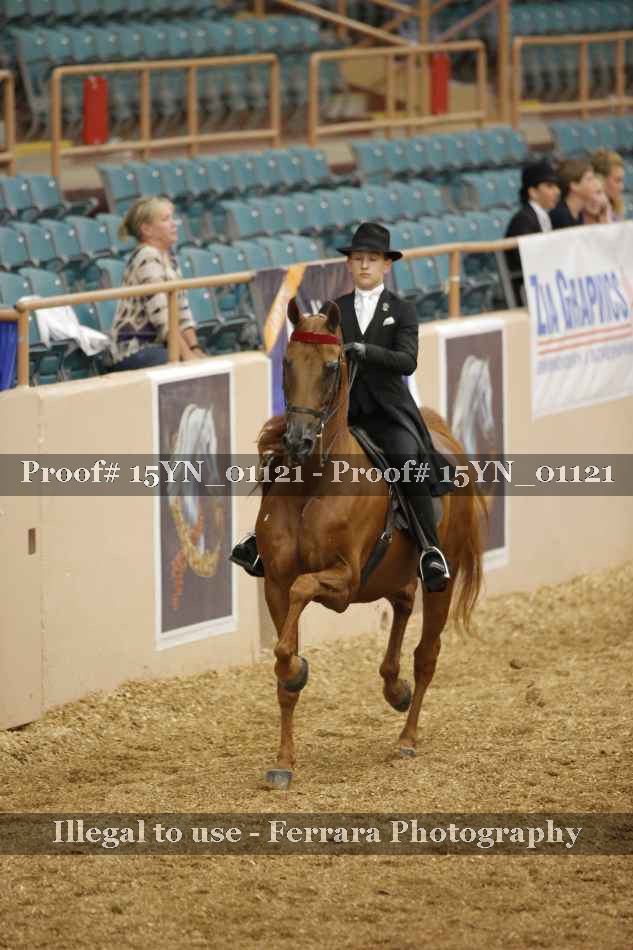 Proof 15YN_01121
