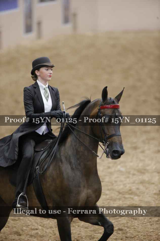 Proof 15YN_01125