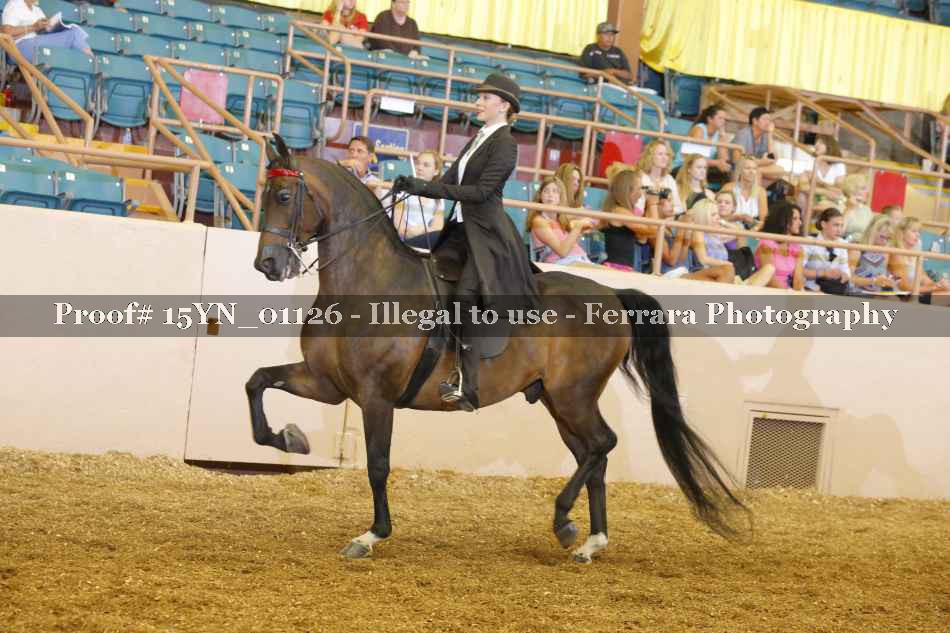Proof 15YN_01126