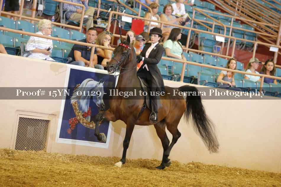 Proof 15YN_01129