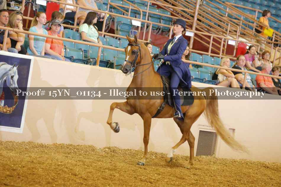 Proof 15YN_01134