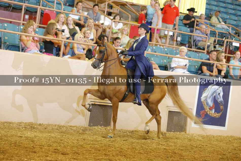 Proof 15YN_01135