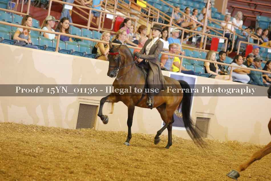 Proof 15YN_01136