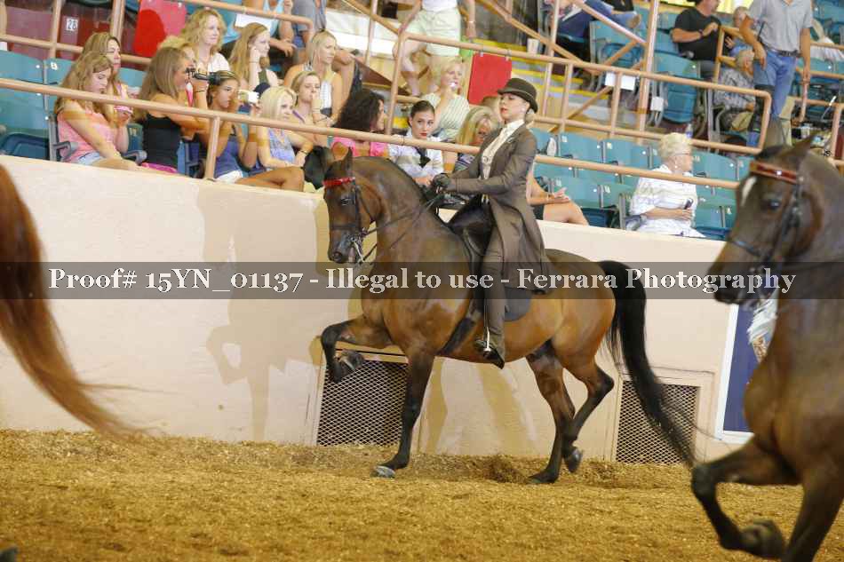 Proof 15YN_01137