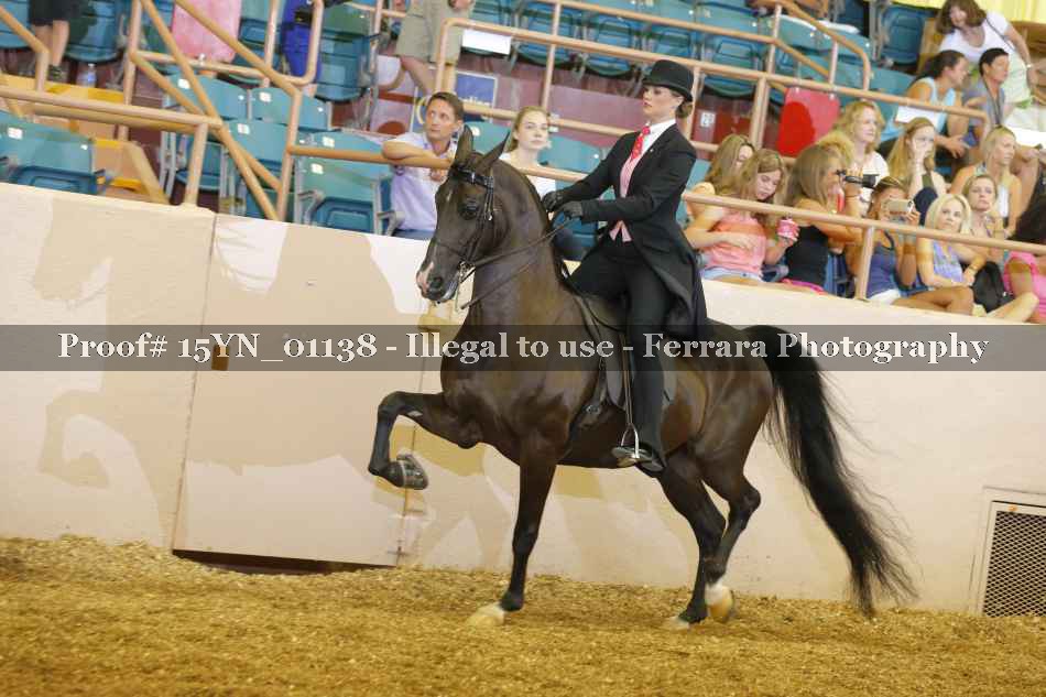 Proof 15YN_01138