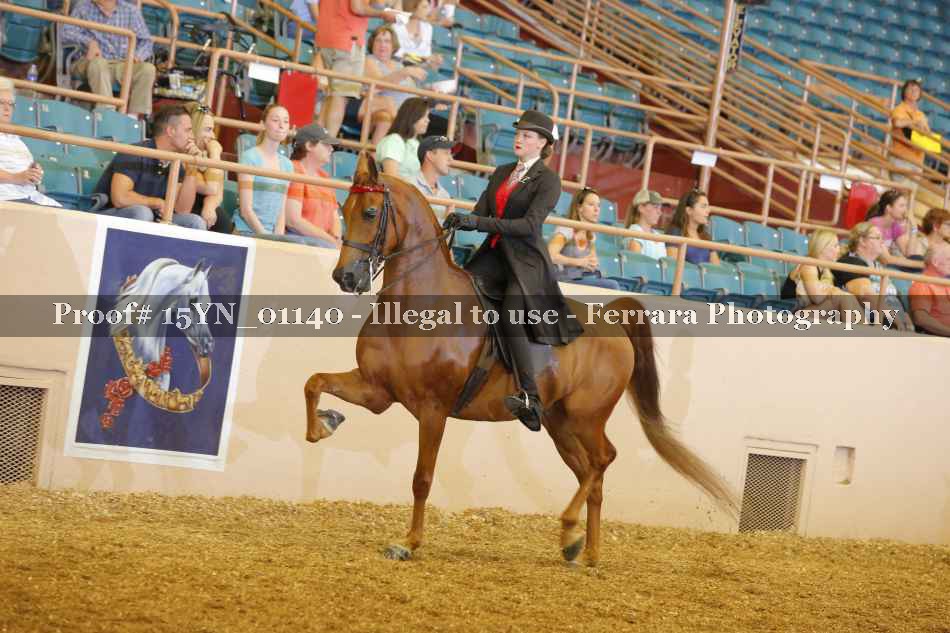 Proof 15YN_01140