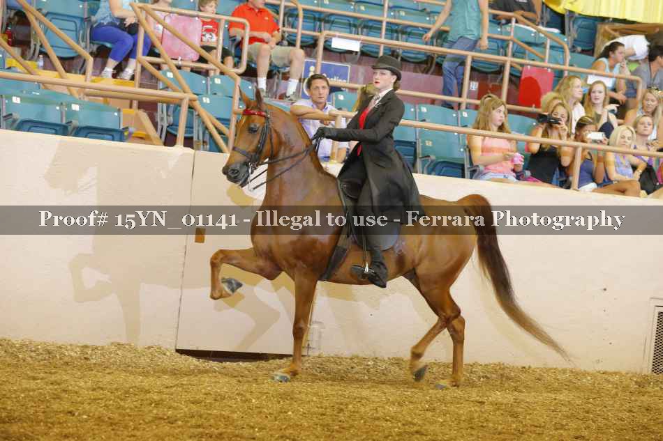 Proof 15YN_01141