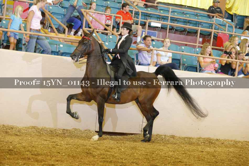 Proof 15YN_01143