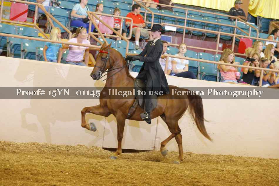 Proof 15YN_01145