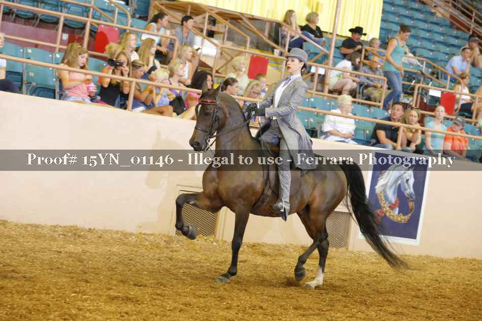 Proof 15YN_01146