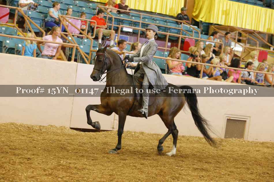 Proof 15YN_01147