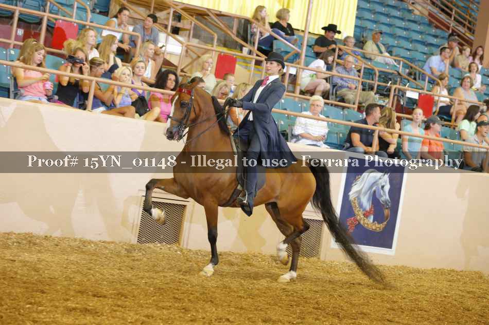 Proof 15YN_01148