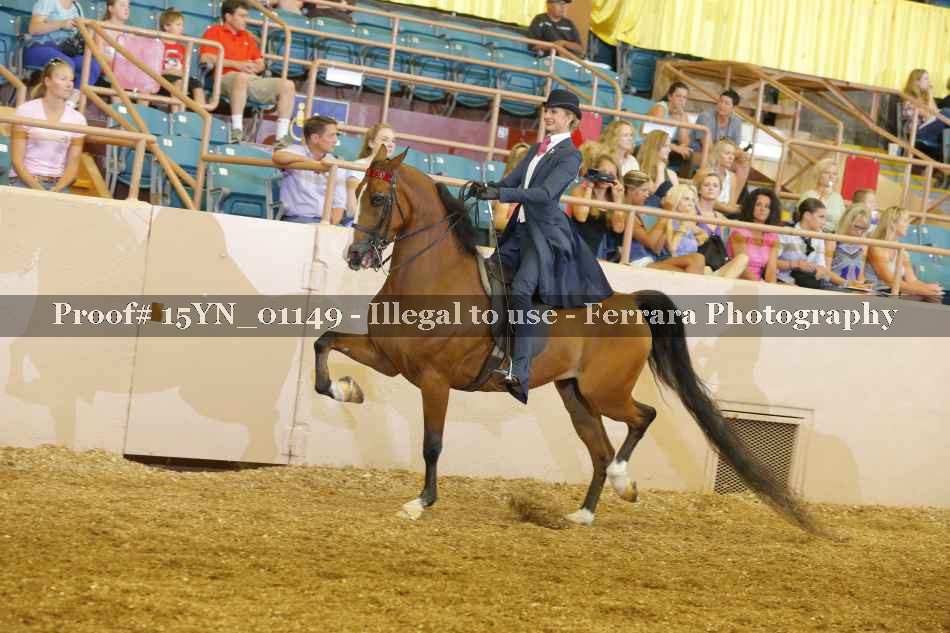 Proof 15YN_01149