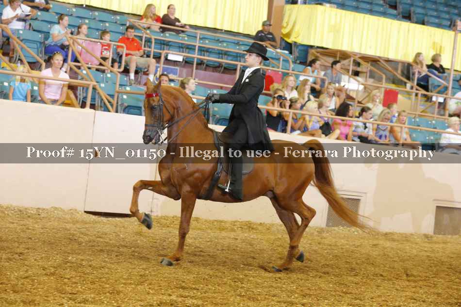 Proof 15YN_01150