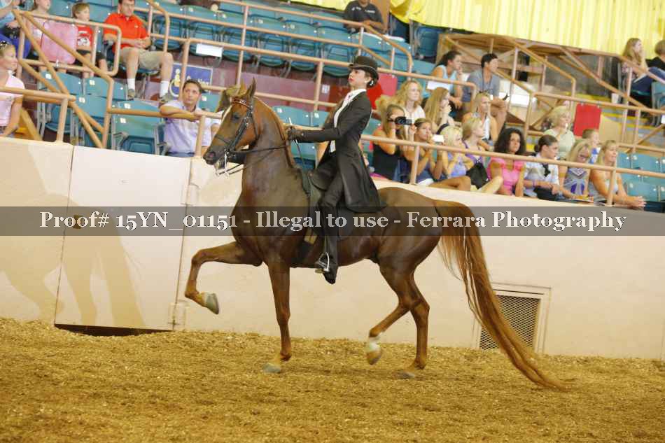 Proof 15YN_01151