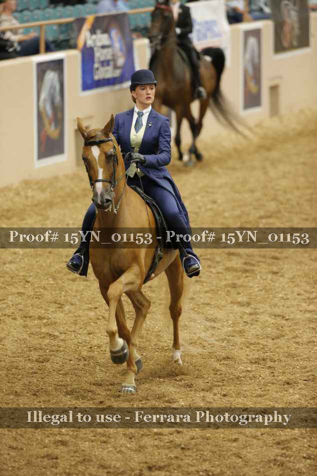 Proof 15YN_01153
