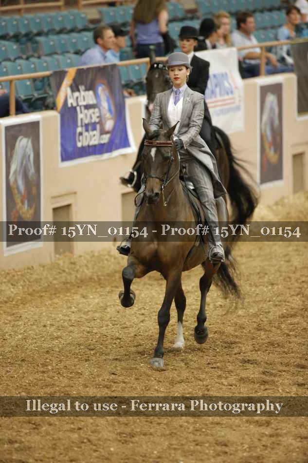 Proof 15YN_01154