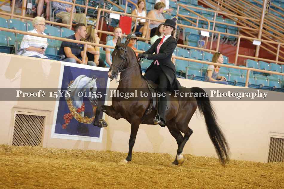 Proof 15YN_01155