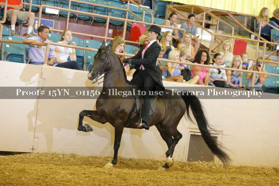 Proof 15YN_01156