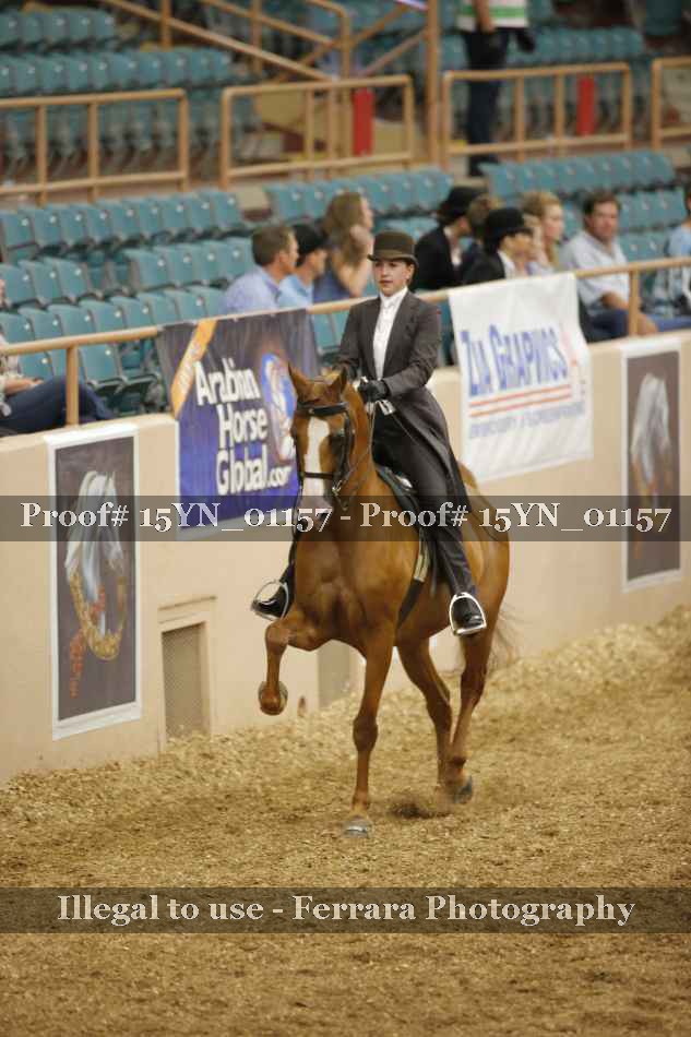Proof 15YN_01157