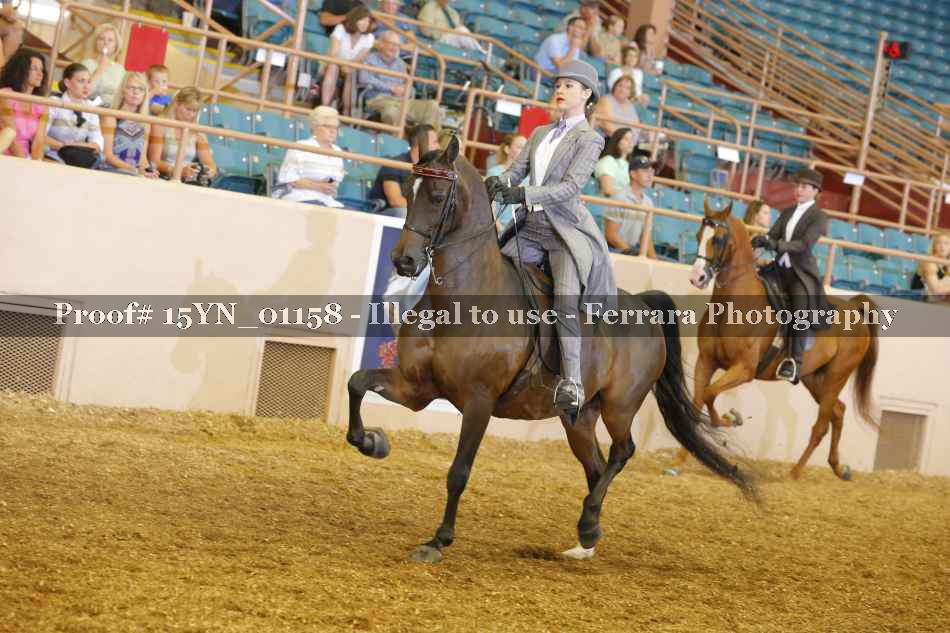 Proof 15YN_01158
