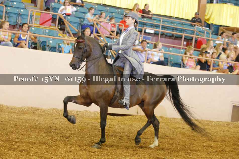 Proof 15YN_01159