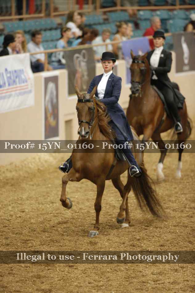 Proof 15YN_01160