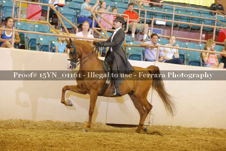 Proof 15YN_01161