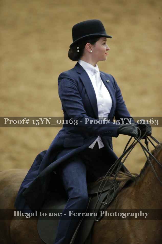 Proof 15YN_01163