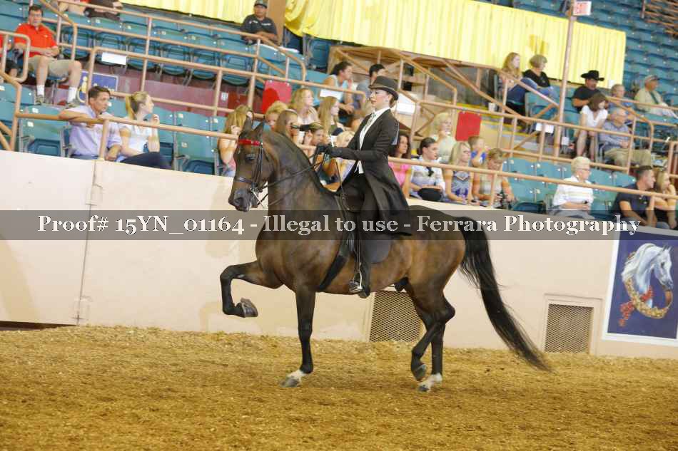 Proof 15YN_01164