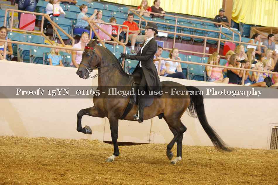 Proof 15YN_01165