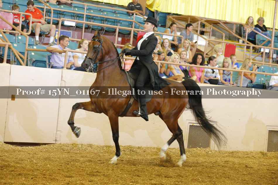 Proof 15YN_01167
