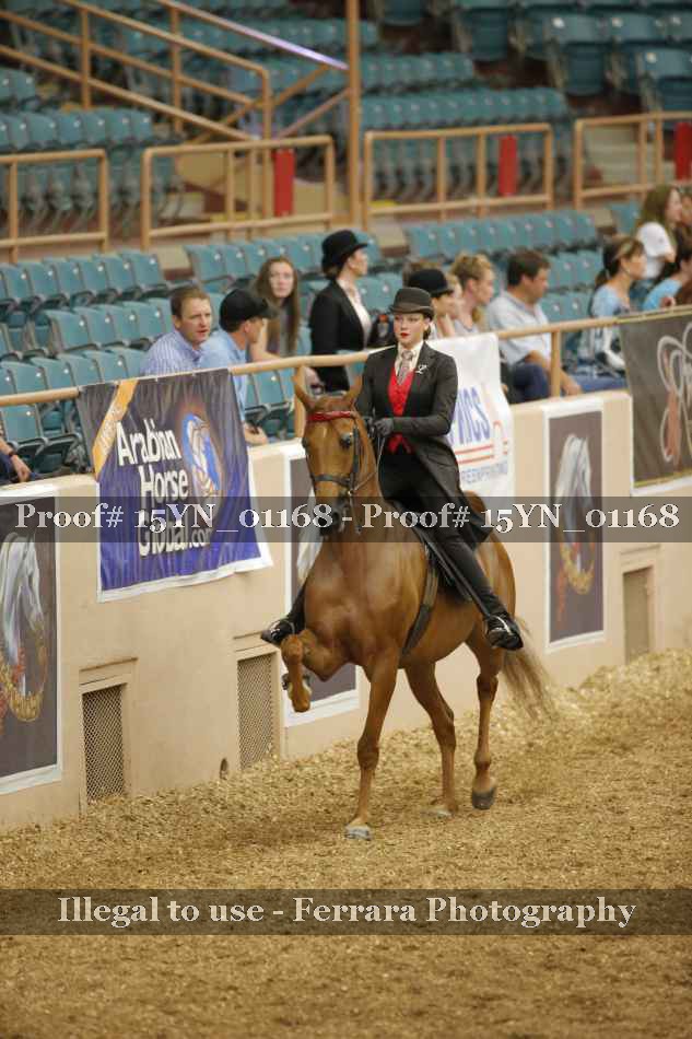 Proof 15YN_01168